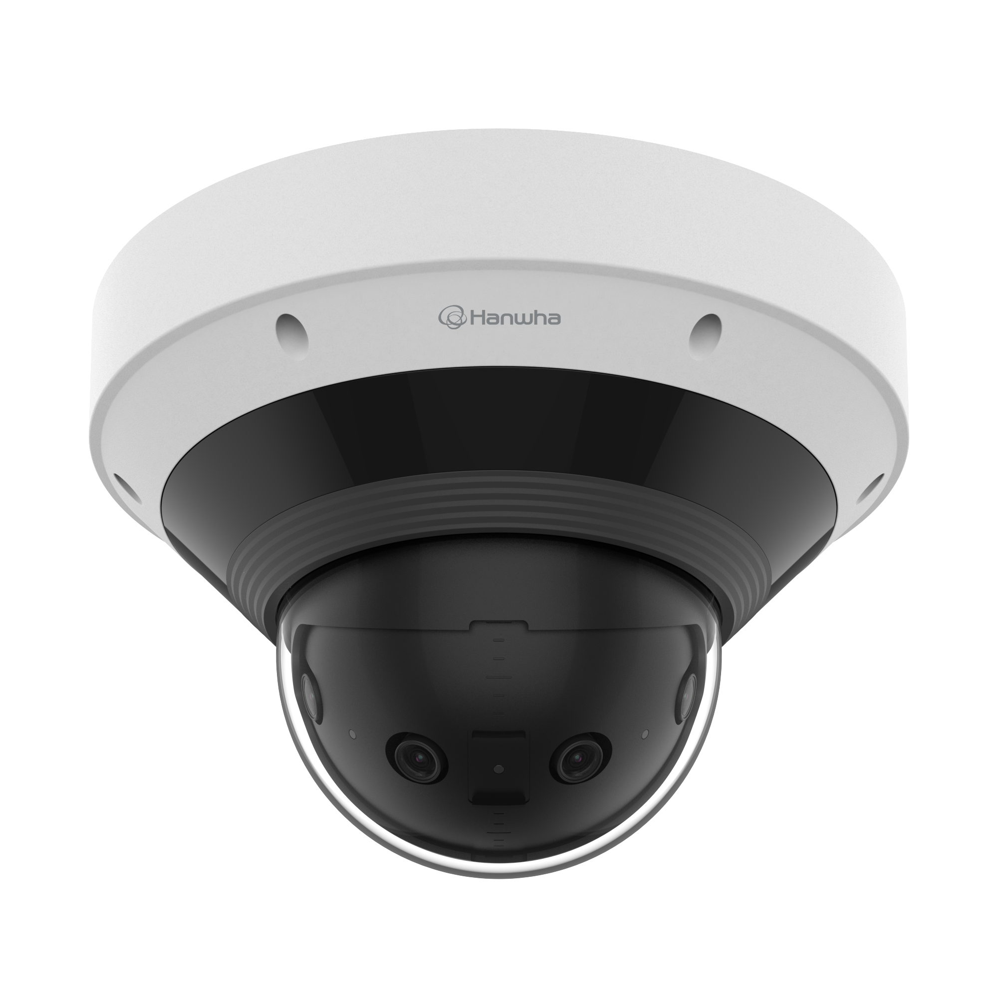 Multi-sensor Cameras